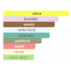 Guilty Notes